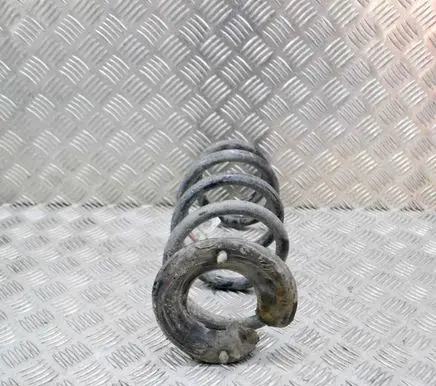 Tesla Model 3 Rear coil spring 104447201E