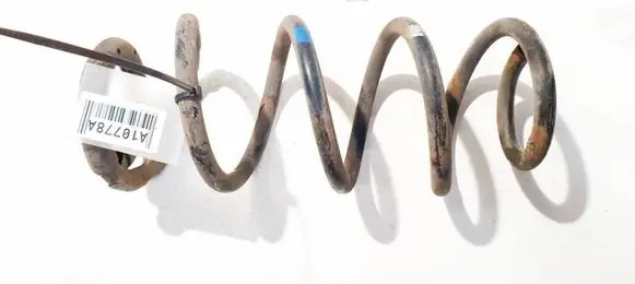 Rear coil spring