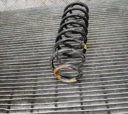 Ford Ecosport Rear coil spring