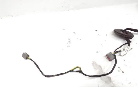 Other wiring loom