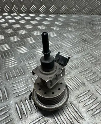 Seat Alhambra (Mk2) AdBlue injector 3C0131113C