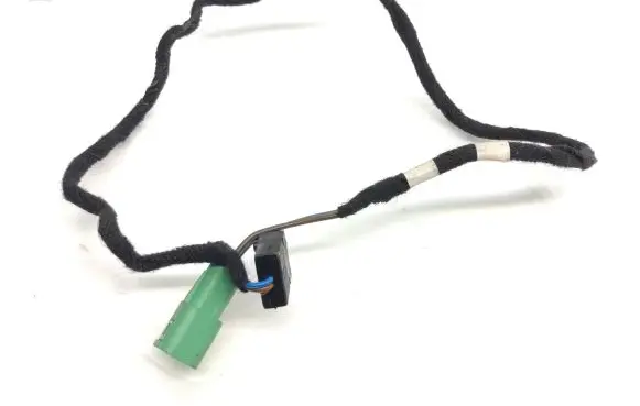 Front door wiring loom