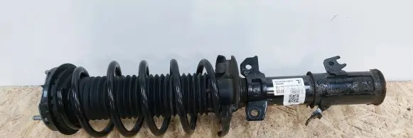 Front shock absorber with coil spring