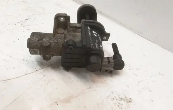 Volkswagen Multivan T5 EGR valve 038131501BF 700365040