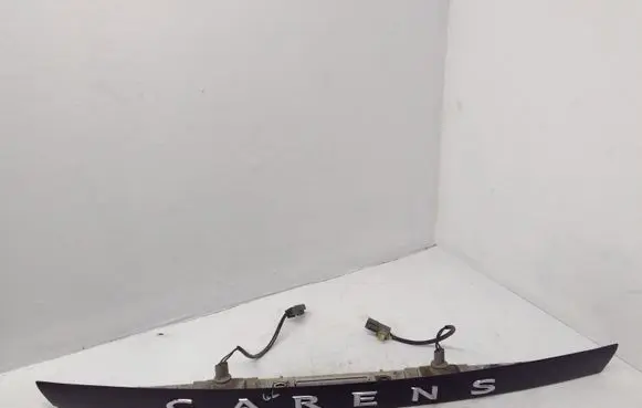 Trunk door license plate light bar