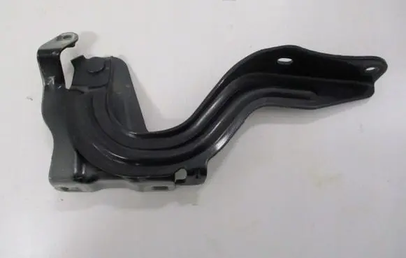 Renault Koleos II Engine bonnet/hood hinges 