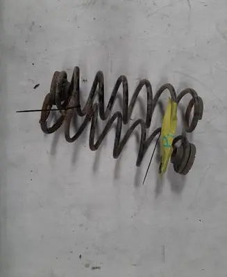 Rear coil spring