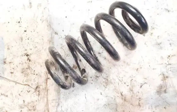 Audi A6 S6 C6 4F Rear coil spring