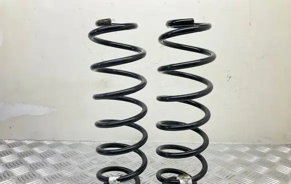 Rear coil spring