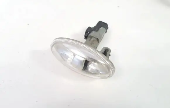 Peugeot 407 Front fender indicator light 9680057480