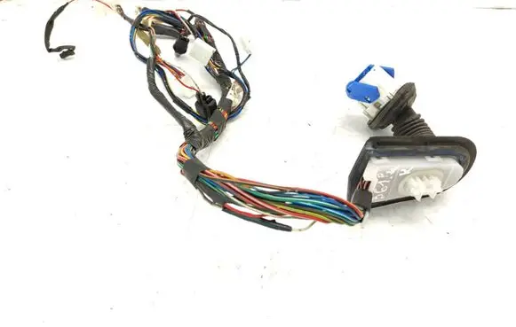 Front door wiring loom