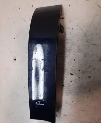 Rear/tail light trim molding