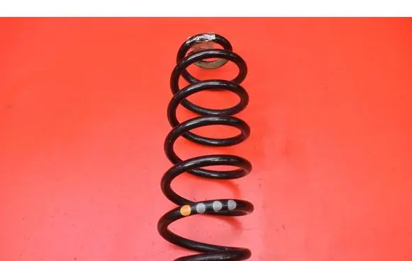 Audi Q5 SQ5 8R Rear coil spring