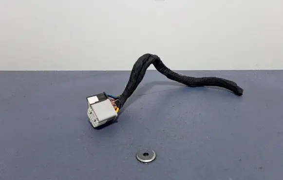 Ford Ecosport Other wiring loom