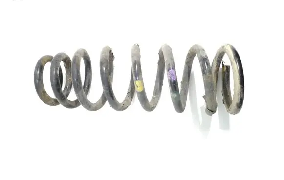 Hyundai Sonata Rear coil spring