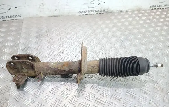 Suzuki SX4 Front shock absorber/damper