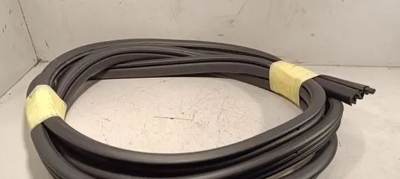 Nissan Qashqai+2 Rubber seal front door (on door) 