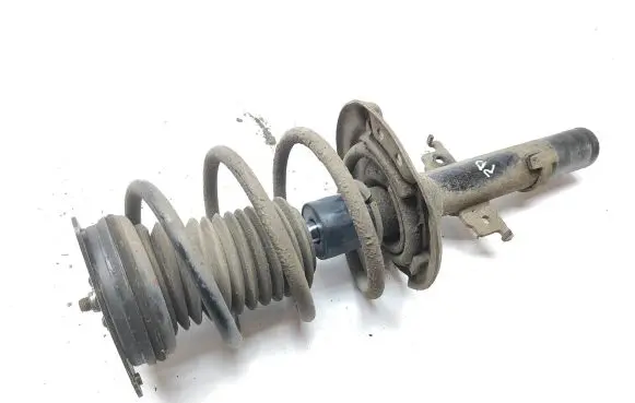 Renault Scenic IV - Grand scenic IV Front shock absorber with coil spring 220012B021