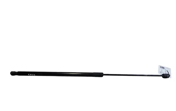 Tailgate/trunk strut/damper