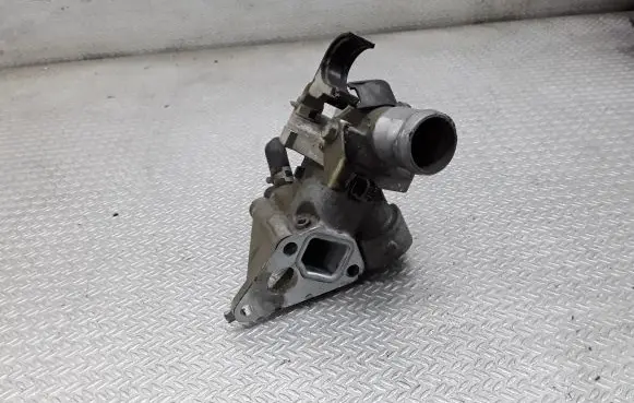 Thermostat/thermostat housing