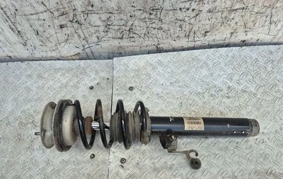 BMW X1 E84 Front shock absorber with coil spring 6789573 31316789573