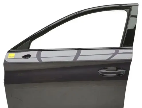 Cupra Leon Front door 5FA831051B LS4A