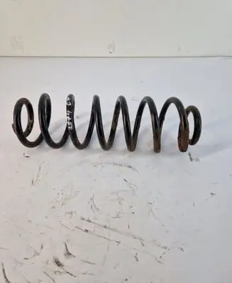 Rear coil spring