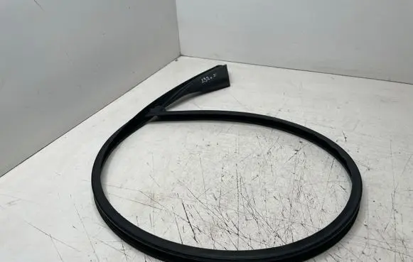 BMW X5 E70 Rubber seal front door window/glass 7146627