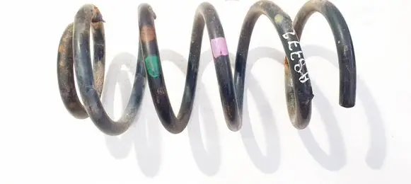 Rear coil spring