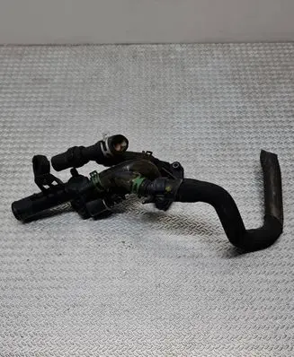 Thermostat/thermostat housing