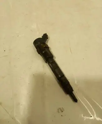 Renault Megane II Fuel injector 0445110021