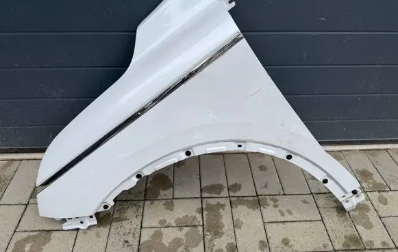 Renault Koleos II Fender 254683
