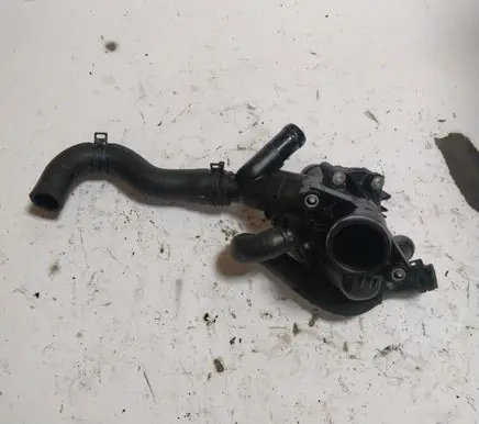 Thermostat/thermostat housing