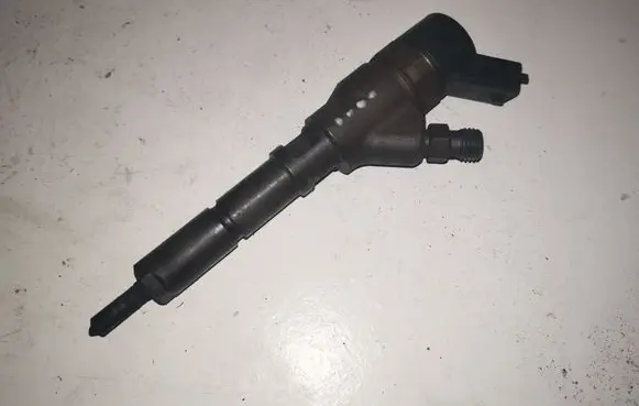 Citroen C5 Fuel injector 0445110008 9635196580