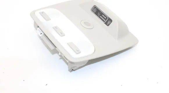 Renault Zoe Front seat light