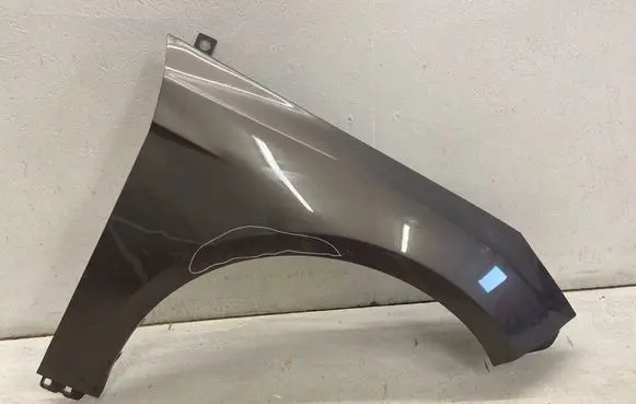 Ford Focus Fender