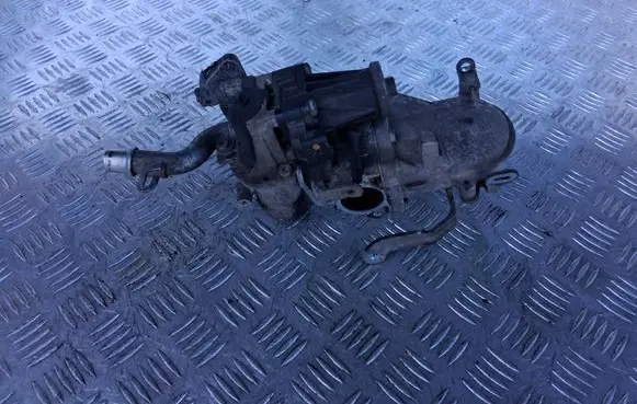 Volvo V40 EGR valve 5056390300 2179304279