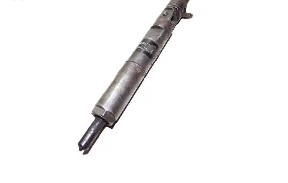 Renault Kangoo I Fuel injector 166001137R