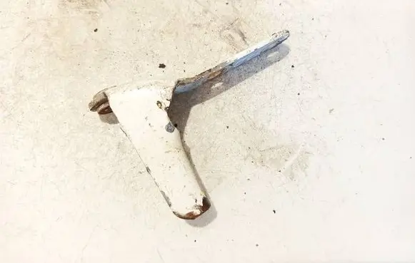 Tailgate/trunk/boot hinge