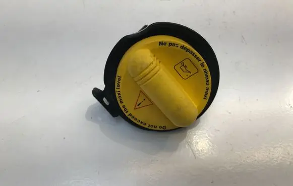 Nissan Qashqai J12 Oil filler cap 152599115R A2820181800