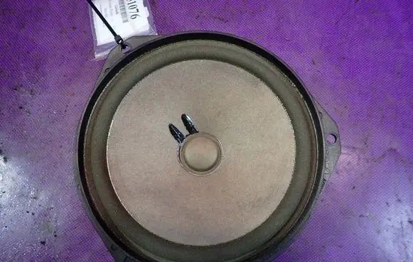 Fiat Punto (199) Front door speaker