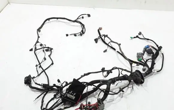 Renault Talisman Other wiring loom 403880514R