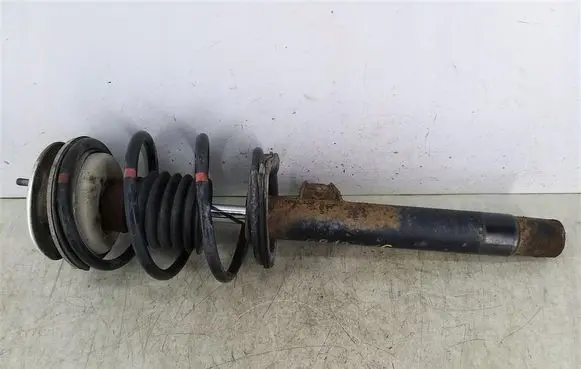 BMW 3 E46 Front shock absorber with coil spring 1096851