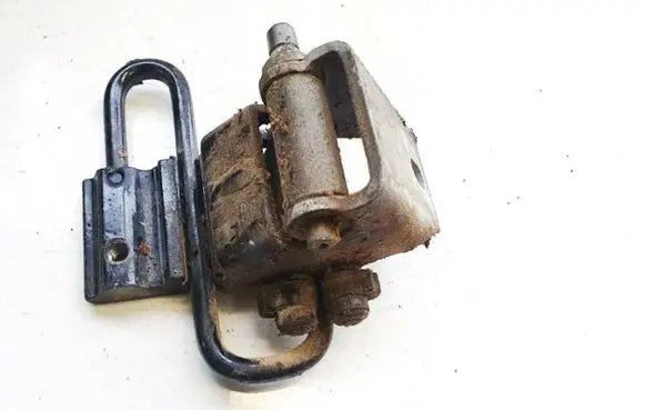 Rear door lower hinge