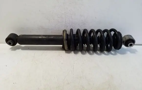 Citroen C5 Aircross Rear shock absorber/damper 9840521980