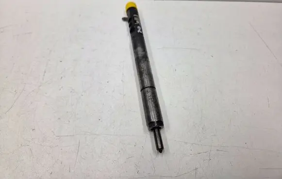 SsangYong Rodius Fuel injector A6650170121