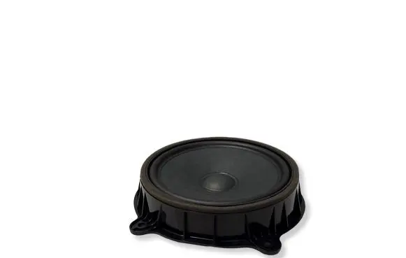 Tesla Model 3 Front door speaker 107974400E