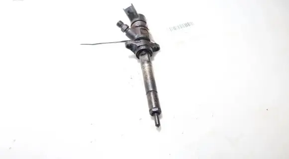Ford Focus Fuel injector 0445110259