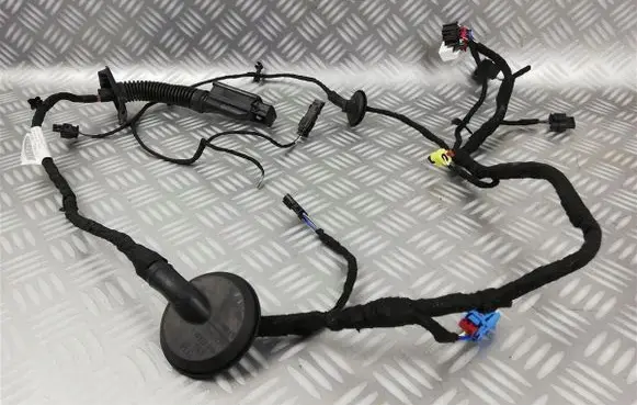 Audi A8 S8 D5 Front door wiring loom/harness boot 4N0971030AC