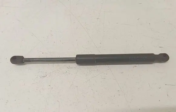 Tesla Model 3 Tailgate strut 109156000B